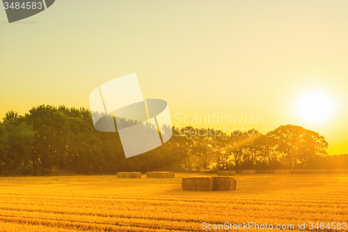 Image of Countryside landscape with straw bales