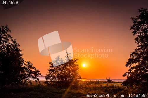 Image of Tree silhouette in a sunrise