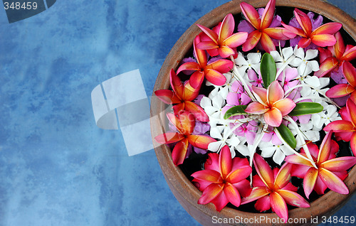 Image of Flowers