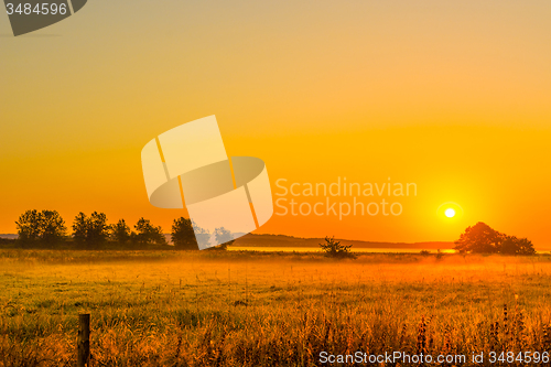 Image of Sunrise over a field with mist