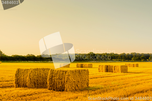 Image of Straw bales in a countryside landscape