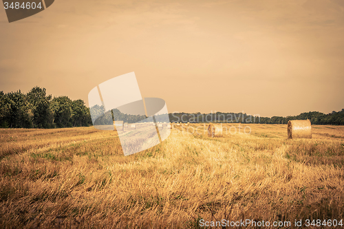 Image of Countryside field with round bales