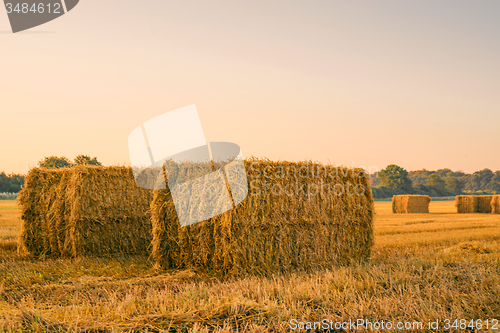 Image of Straw bales on a field