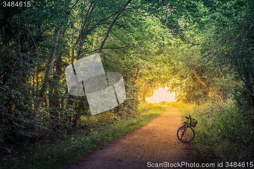 Image of Bike on a forest trail