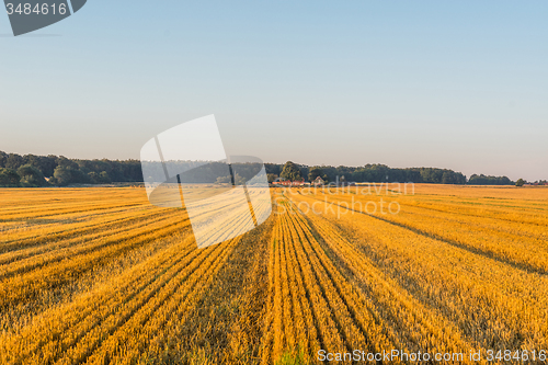 Image of Field at a farm in the summer