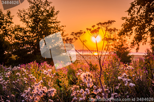 Image of Sunrise over a meadow