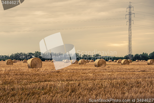 Image of Round bales on a field with pylons