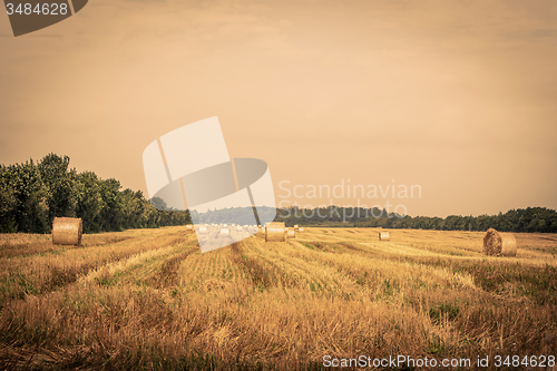 Image of Round bales on a field