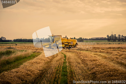 Image of Yellow harvester driving on a field