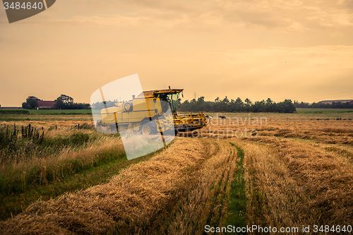 Image of Harvester on a field at a farm