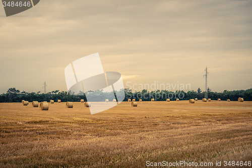 Image of Round hay bales in the country