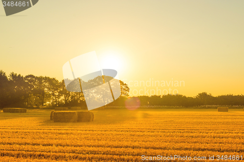 Image of Harvested straw bales in the morning