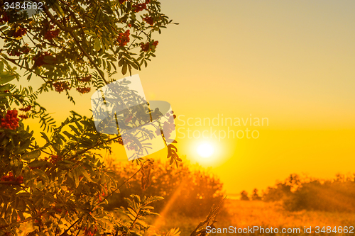 Image of Early morning sunrise with sunbeams