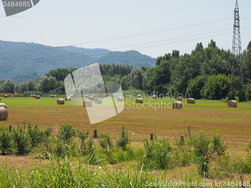 Image of Hay bale