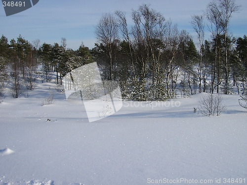 Image of Winter in Norway!