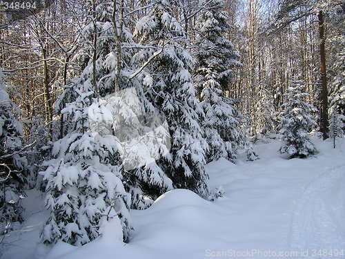 Image of Winter in Norway!