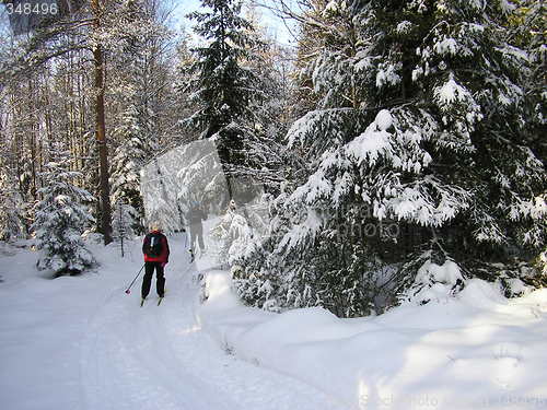 Image of Winter in Norway!