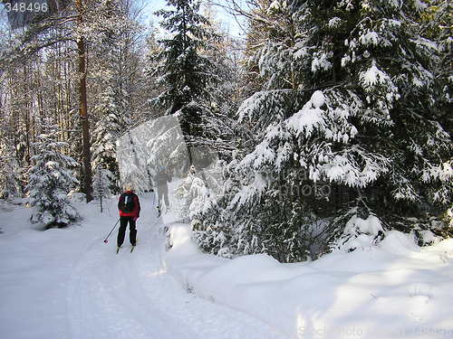 Image of Winter in Norway!