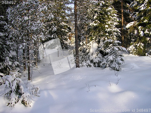 Image of Winter in Norway!