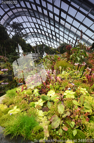 Image of Cloud Forest at Gardens by the Bay in Singapore