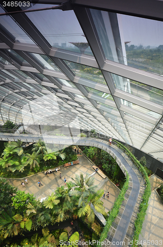 Image of Cloud Forest at Gardens by the Bay in Singapore