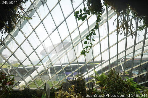 Image of Cloud Forest at Gardens by the Bay in Singapore