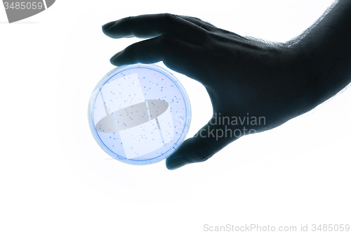 Image of hand with Petri dish