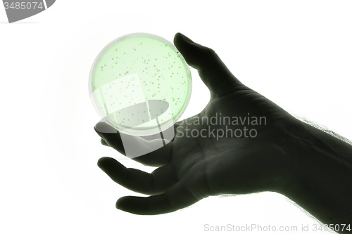 Image of hand with Petri dish