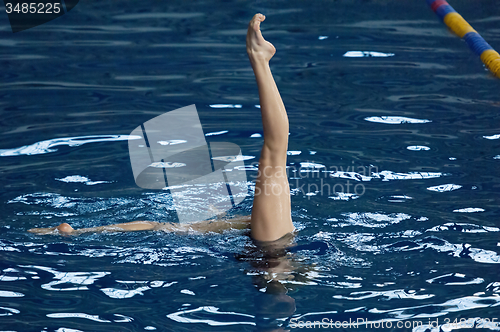 Image of Legs of synchronous swimer