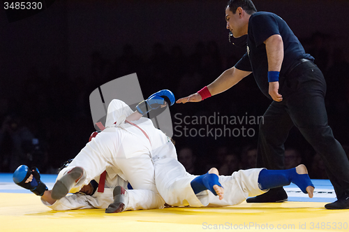 Image of Olga Safronova (Red) and Roza Iskarenova (Blue)