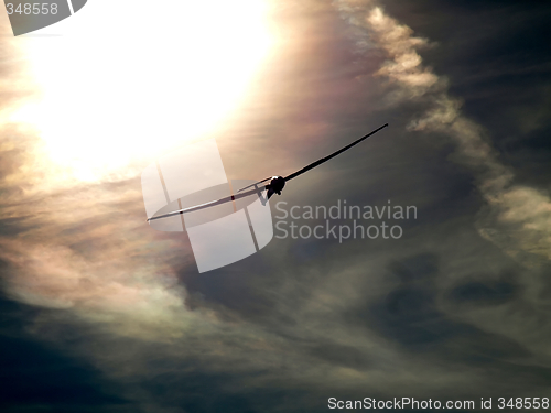 Image of Glider