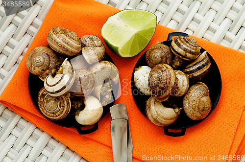 Image of Snails with Garlic Butter