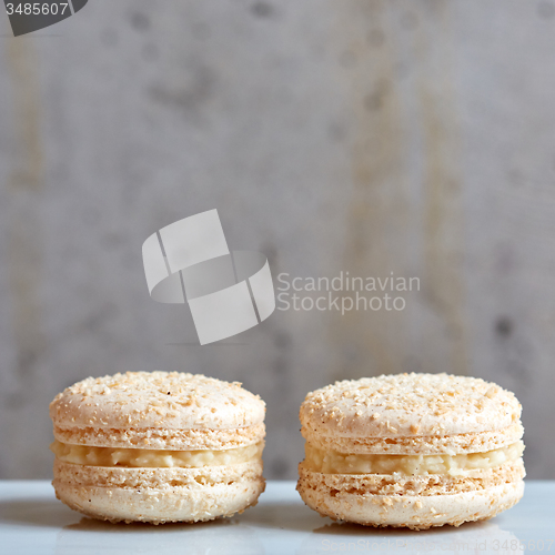 Image of Sweet macaroon