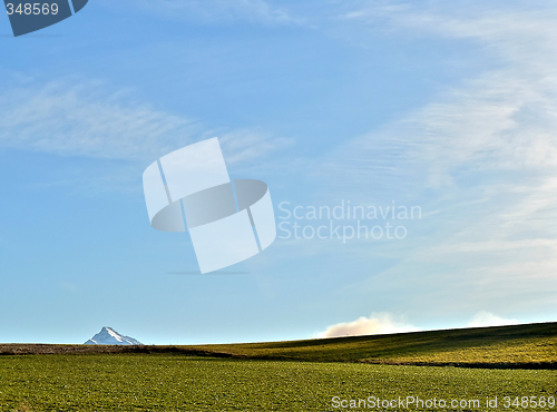 Image of Meadow with mountain peak