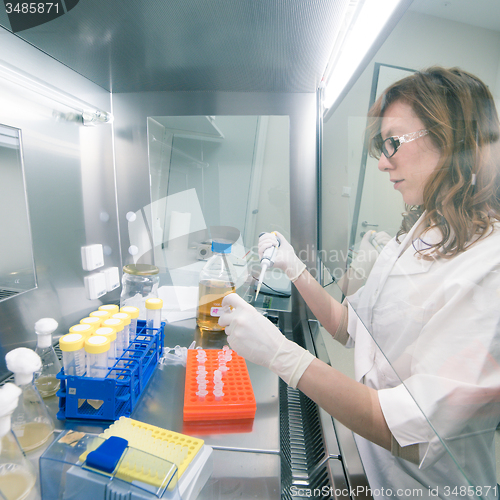 Image of Life scientist researching in the laboratory.