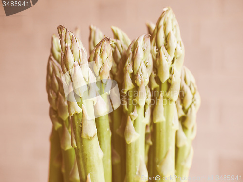 Image of Retro looking Asparagus vegetable