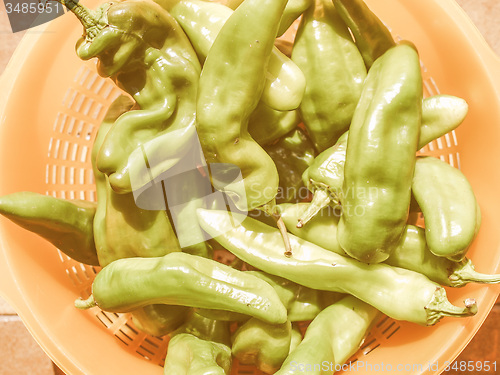 Image of Retro looking Green peppers