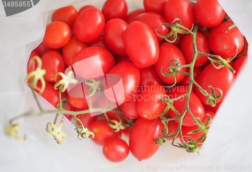 Image of Red Tomato vegetables