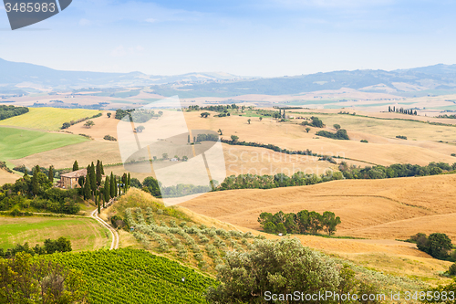 Image of Countryside in Tuscany