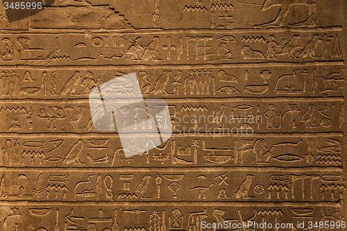 Image of Hieroglyphic detail