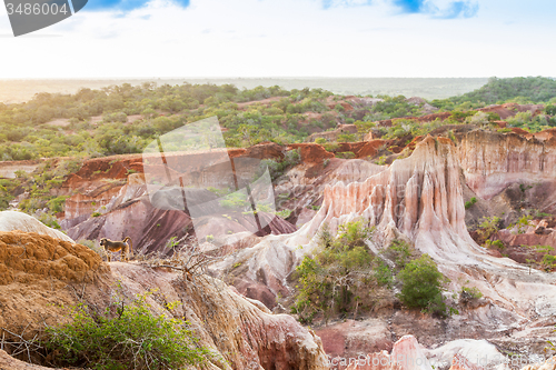 Image of Marafa Canyon - Kenya