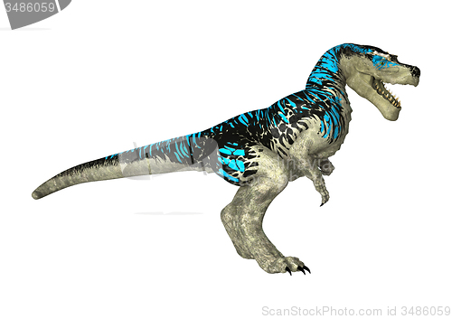 Image of Tyrannosaurus Rex