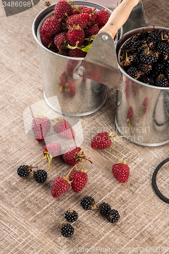 Image of Metal buckets with fresh berries
