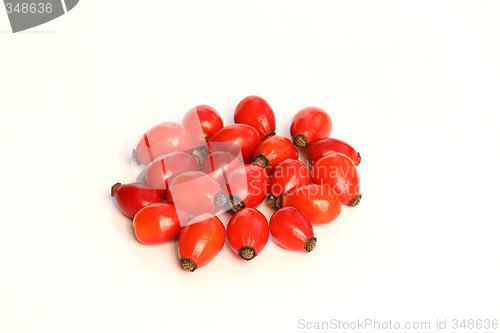 Image of Rose hips