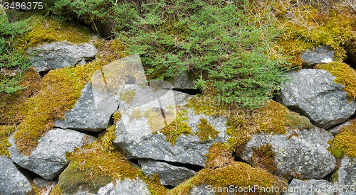 Image of mossy stones