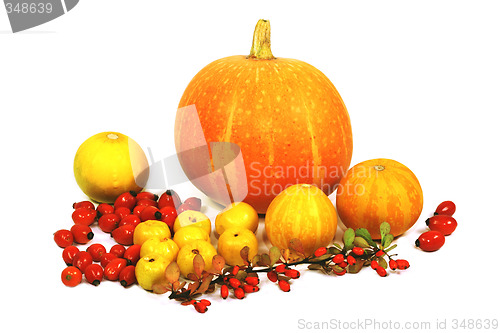 Image of Autumn decoration