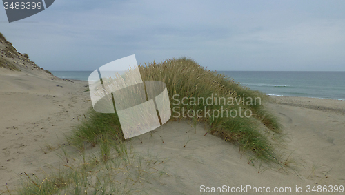 Image of Coastline