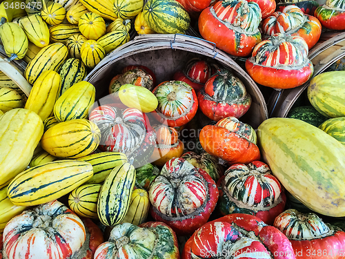 Image of Delicata and Turban squashes at the market