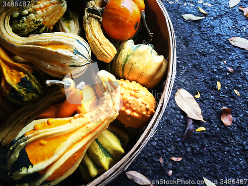 Image of Colorful gourds in a basket