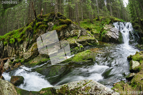 Image of waterfall in deep forest at mountains